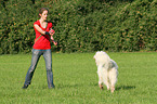 Frau und Goldendoodle