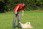 Frau und Goldendoodle