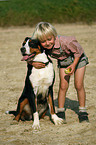 Junge und Groer Schweizer Sennenhund