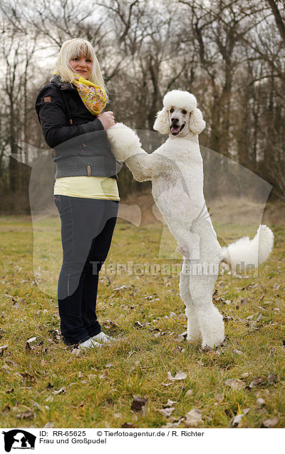 Frau und Gropudel / woman and Giant Poodle / RR-65625