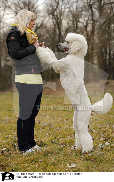 Frau und Gropudel / woman and Giant Poodle / RR-65626