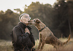 Irish Terrier Rde