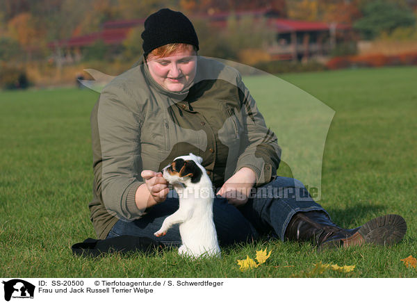 Frau und Parson Russell Terrier Welpe / woman and Parson Russell Terrier Puppy / SS-20500