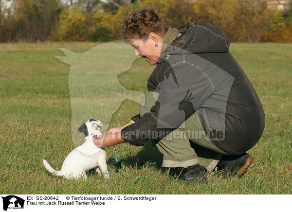 Frau mit Parson Russell Terrier Welpe / woman with Parson Russell Terrier Puppy / SS-20642