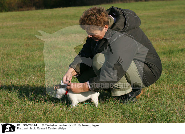 Frau mit Parson Russell Terrier Welpe / woman with Parson Russell Terrier Puppy / SS-20644