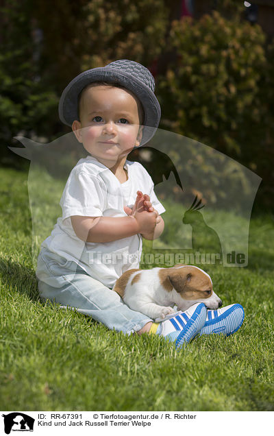 Kind und Jack Russell Terrier Welpe / Child and Jack Russell Terrier Puppy / RR-67391