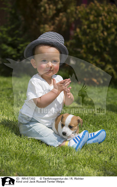 Kind und Jack Russell Terrier Welpe / Child and Jack Russell Terrier Puppy / RR-67392