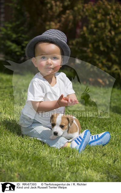 Kind und Jack Russell Terrier Welpe / Child and Jack Russell Terrier Puppy / RR-67393