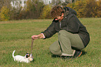 Frau spielt mit Jack Russell Terrier Welpe