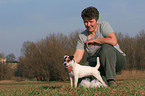 Rarson Russell Terrier wird getrimmt