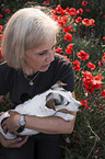 Frau mit Jack Russell Terrier im Mohnfeld