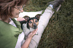 Frau und Jack Russell Terrier