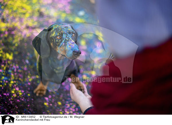 Kaninchendackel mit Frau / Rabbit Dachshund with woman / MW-13852