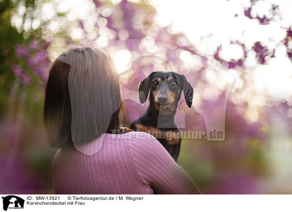 Kaninchendackel mit Frau / Rabbit Dachshund with a woman / MW-13921