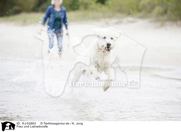 Frau und Labradoodle / woman and Labradoodle / KJ-02863