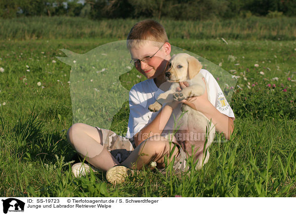 Junge und Labrador Retriever Welpe / boy and Labrador Retriever Puppy / SS-19723