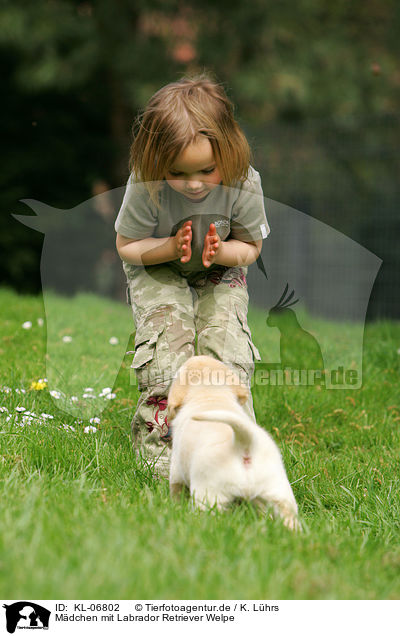 Mdchen mit Labrador Retriever Welpe / girl with Labrador Retriever puppy / KL-06802