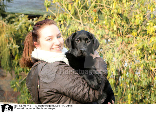 Frau mit Labrador Retriever Welpe / woman with Labrador Retriever Puppy / KL-08746