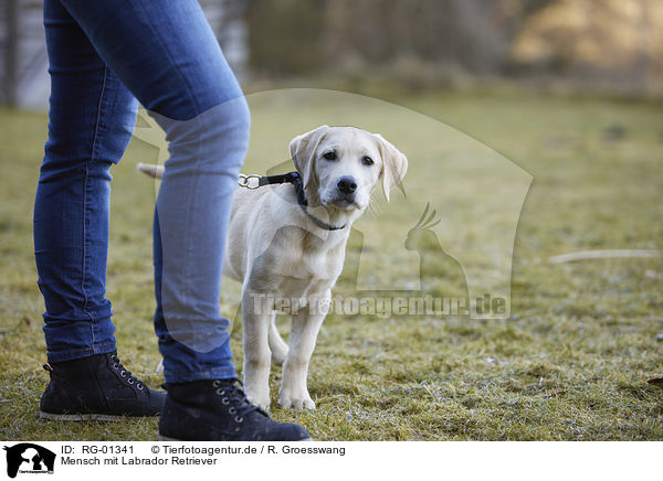 Mensch mit Labrador Retriever / human with Labrador Retriever / RG-01341