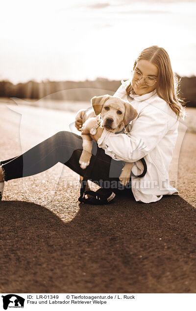 Frau und Labrador Retriever Welpe / woman and Labrador Retriever Puppy / LR-01349