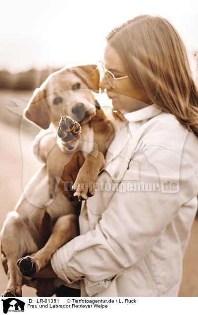 Frau und Labrador Retriever Welpe / woman and Labrador Retriever Puppy / LR-01351