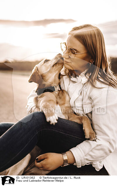 Frau und Labrador Retriever Welpe / woman and Labrador Retriever Puppy / LR-01362