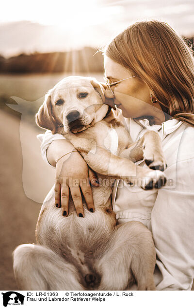 Frau und Labrador Retriever Welpe / woman and Labrador Retriever Puppy / LR-01363