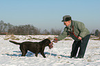 Senior spielt mit Labrador Retriever