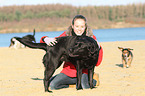 Frau und Labrador Retriever