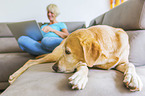 Frau mit Labrador Retriever