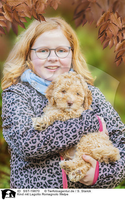 Kind mit Lagotto Romagnolo Welpe / child with Lagotto Romagnolo Puppy / SST-19870