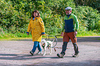 Lagotto Romagnolo beim Zughundesport