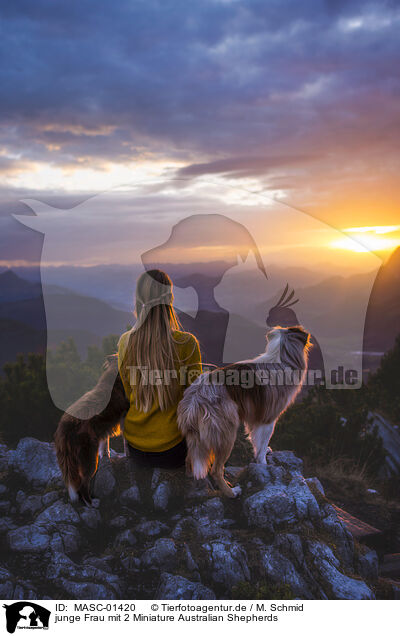 junge Frau mit 2 Miniature Australian Shepherds / young woman with 2 Miniature Australian Shepherds / MASC-01420