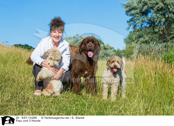 Frau und 3 Hunde / woman and 3 dogs / SST-14286