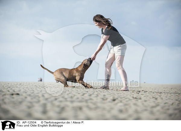 Frau und Olde English Bulldogge / AP-12504