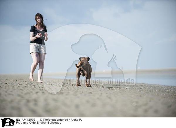 Frau und Olde English Bulldogge / AP-12506