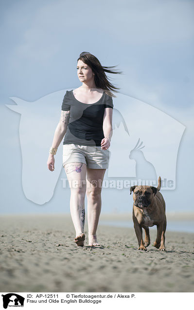 Frau und Olde English Bulldogge / AP-12511