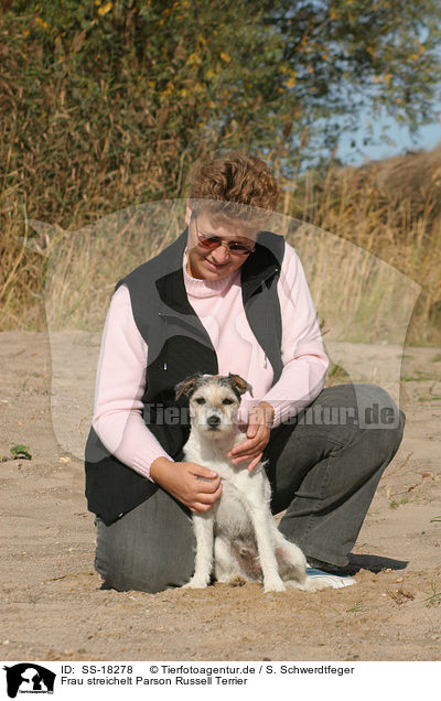 Frau streichelt Parson Russell Terrier / woman fondles Parson Russell Terrier / SS-18278