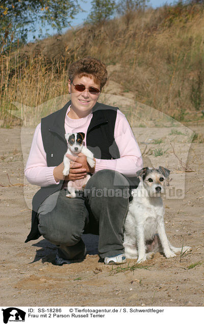 Frau mit 2 Parson Russell Terrier / woman with 2 Parson Russell Terrier / SS-18286