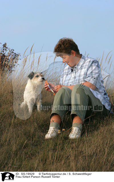 Frau und Parson Russell Terrier / woman and Parson Russell Terrier / SS-19929