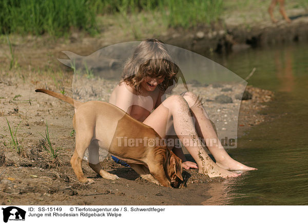 Junge mit Rhodesian Ridgeback Welpe / boy with Rhodesian Ridgeback puppy / SS-15149