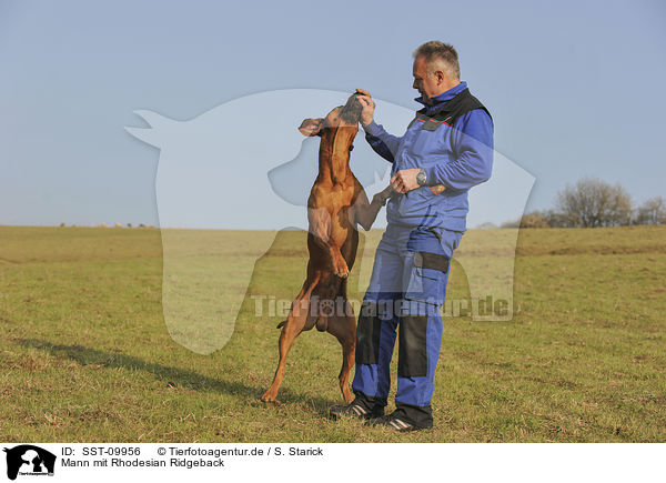 Mann mit Rhodesian Ridgeback / man with Rhodesian Ridgeback / SST-09956