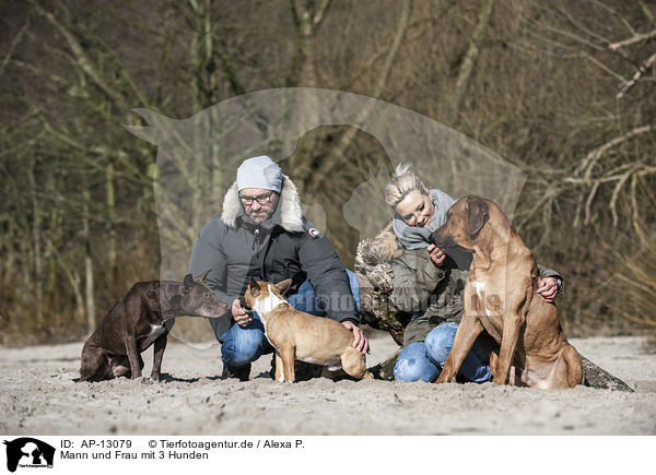 Mann und Frau mit 3 Hunden / man and woman with 3 dogs / AP-13079