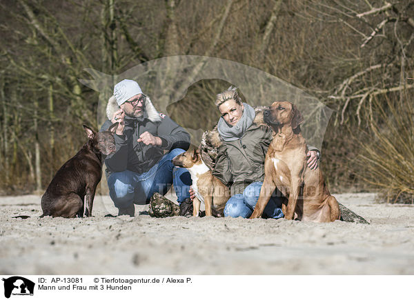 Mann und Frau mit 3 Hunden / AP-13081