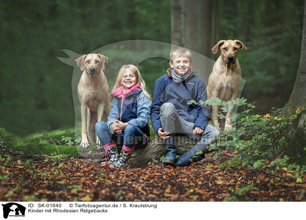 Kinder mit Rhodesian Ridgebacks / childs with Rhodesian Ridgebacks / SK-01640