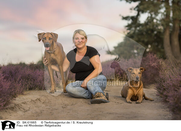 Frau mit Rhodesian Ridgebacks / woman with Rhodesian Ridgebacks / SK-01665