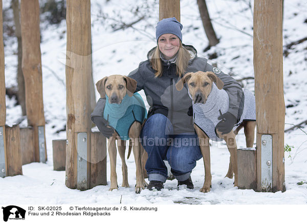 Frau und 2 Rhodesian Ridgebacks / woman and 2 Rhodesian Ridgebacks / SK-02025