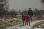 Junge mit Rhodesian Ridgeback