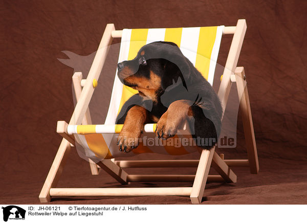 Rottweiler Welpe auf Liegestuhl / Rottweiler Puppy at deckchair / JH-06121