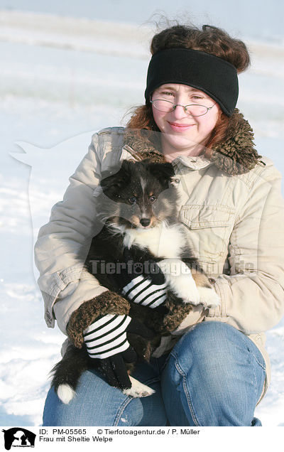 Frau mit Sheltie Welpe / woman with Shetland Sheepdog Puppy / PM-05565